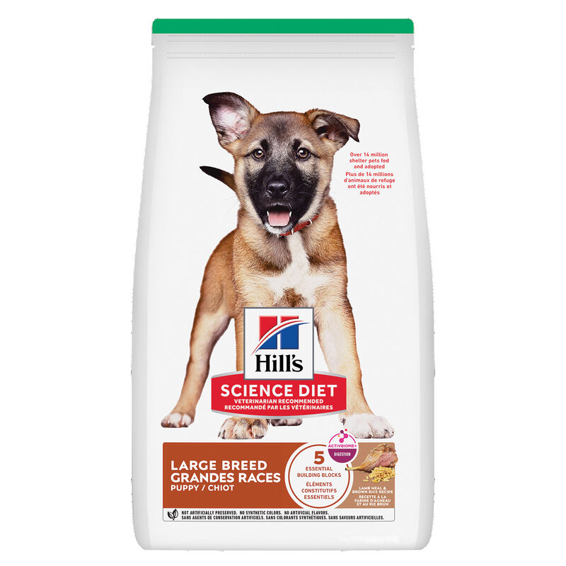 Science Diet, Puppy Large Breed Lamb Meal & Brown Rice Recipe - Dry Dog Food image number null