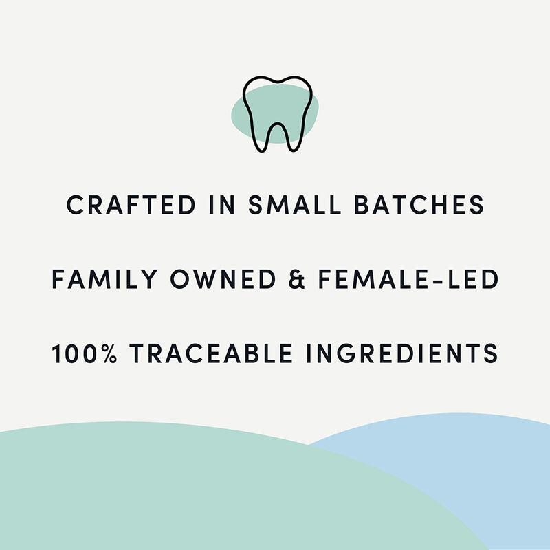 Crumps' Naturals, Pumpkin Spice Plaque Buster - 10pk - Dog Treat image number null