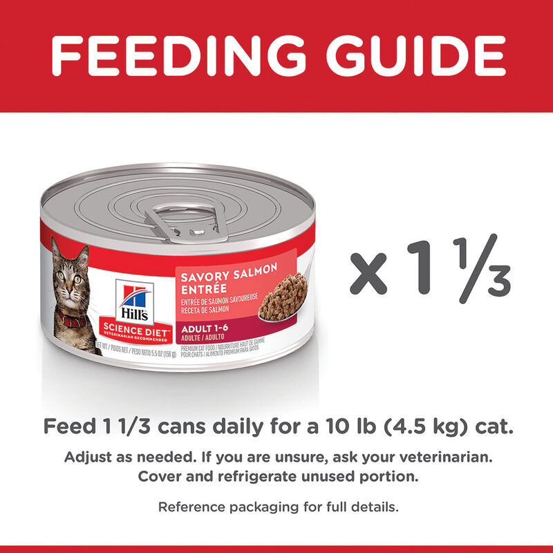 Science Diet, Adult Savory Salmon Canned Cat Food, 156g - Wet Cat Food image number null
