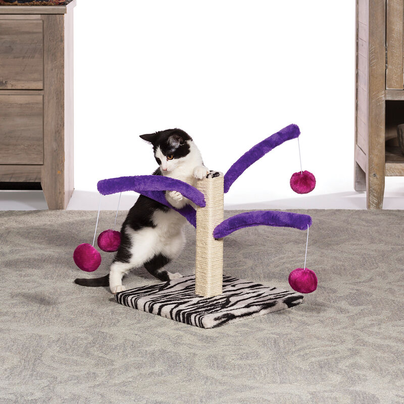 Prevue, Bounce and Spring Cat Post image number null