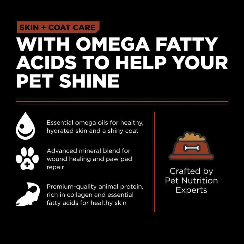 GO! SOLUTIONS, Adult LB - Skin & Coat w/ Grains - Salmon - Dry Dog Food image number null