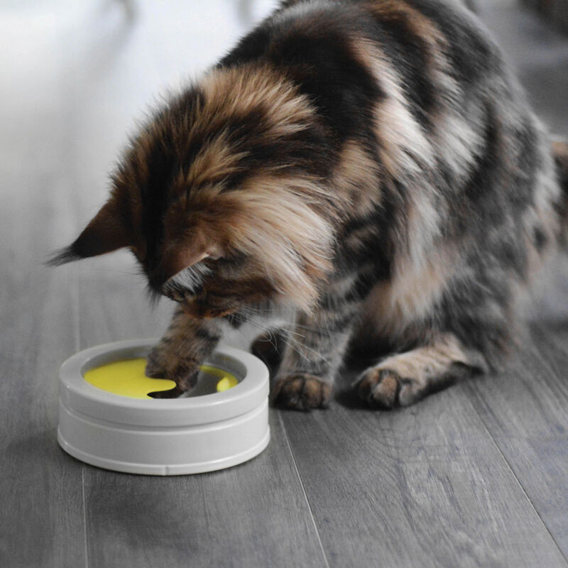 BeOneBreed, IntelliKatt - Interactive Cat Bowl - Cat Bowl image number null