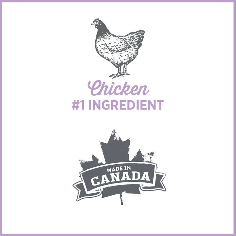 Nutrience, Care - Weight Management  - Chicken - 369 g - Wet Dog Food image number null