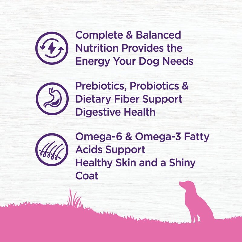 Wellness, Dog Toy Breed Adult - Dry Dog Food image number null