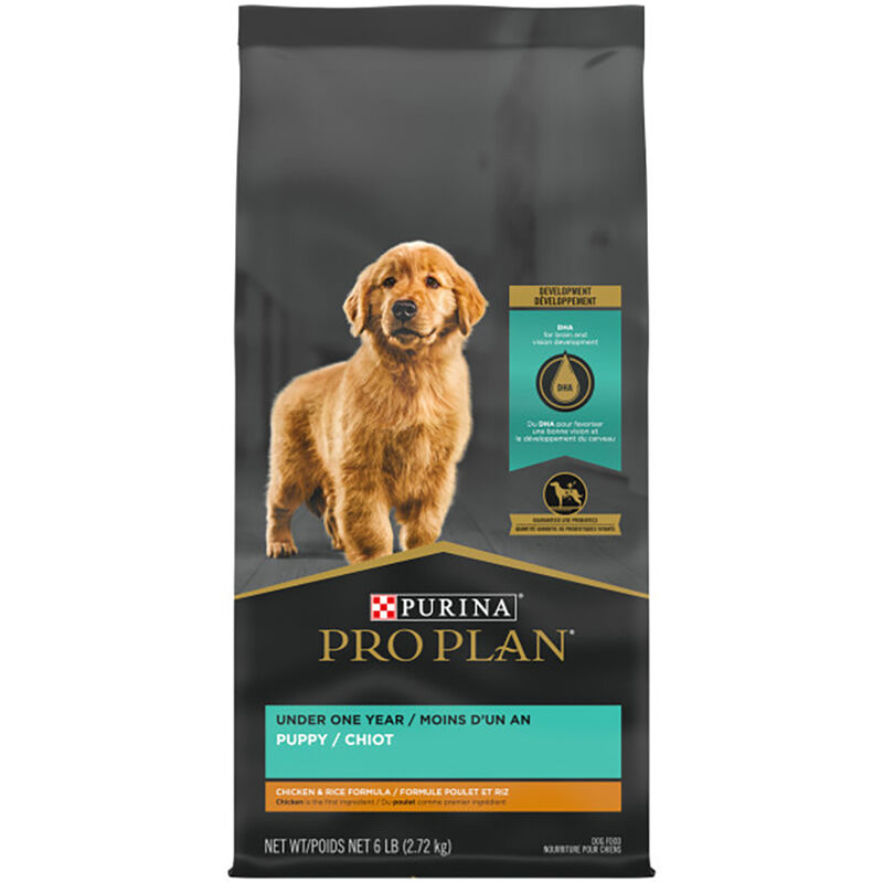Purina Pro Plan Development Under One Year Puppy, Chicken & Rice Dry Dog Food Formula image number null