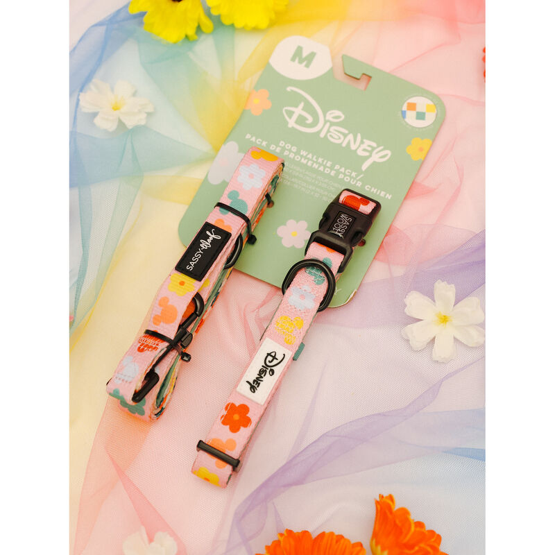 Sassy Woof, Minnie Mickey Collar and Leash Set for Dogs - Small image number null