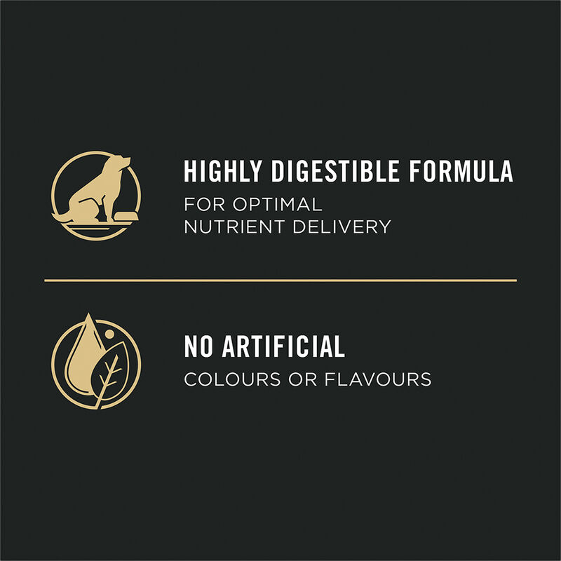 Pro Plan, Senior, Sensitive Skin & Stomach Slmn&Rice-10.9kg - Dry Dog Food image number null