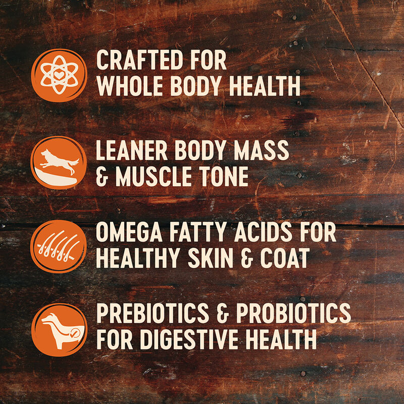 Wellness, Core, Grain Free Ocean - Dry Dog Food image number null