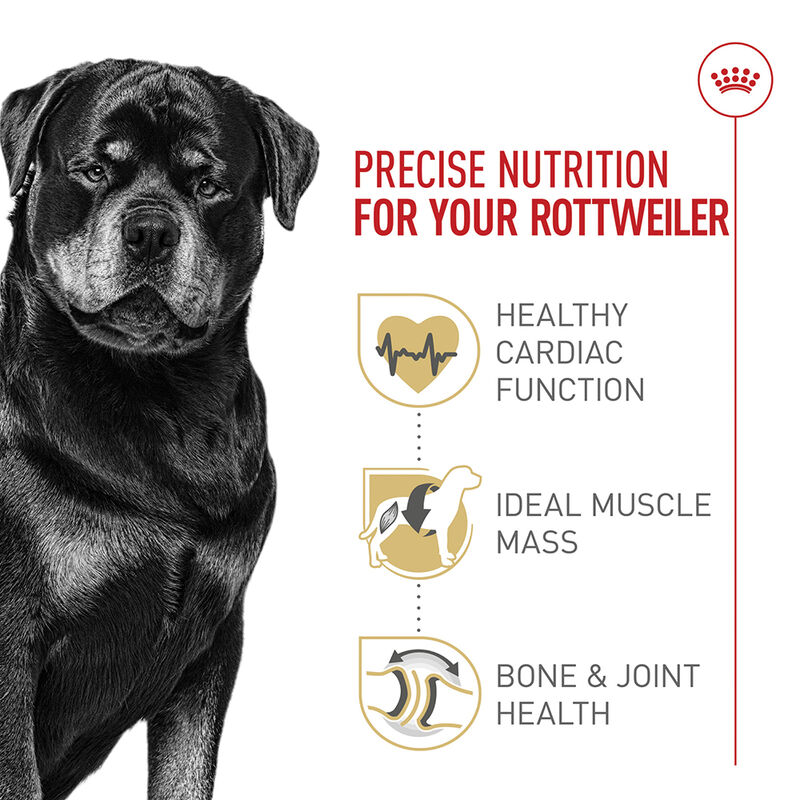 Royal Canin, Breed Health Nutrition Rottweiler Adult - Dry Dog Food image number null