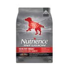 Nutrience, Adult - Infusion - Beef - Dry Dog Food image number null