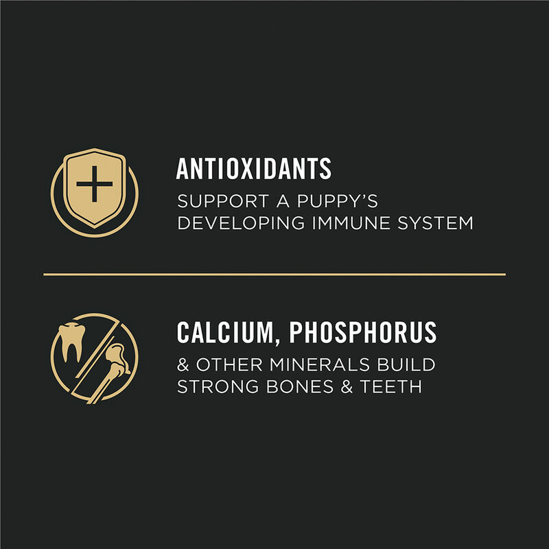 Purina Pro Plan Development Under One Year Puppy, Chicken & Rice Dry Dog Food Formula image number null