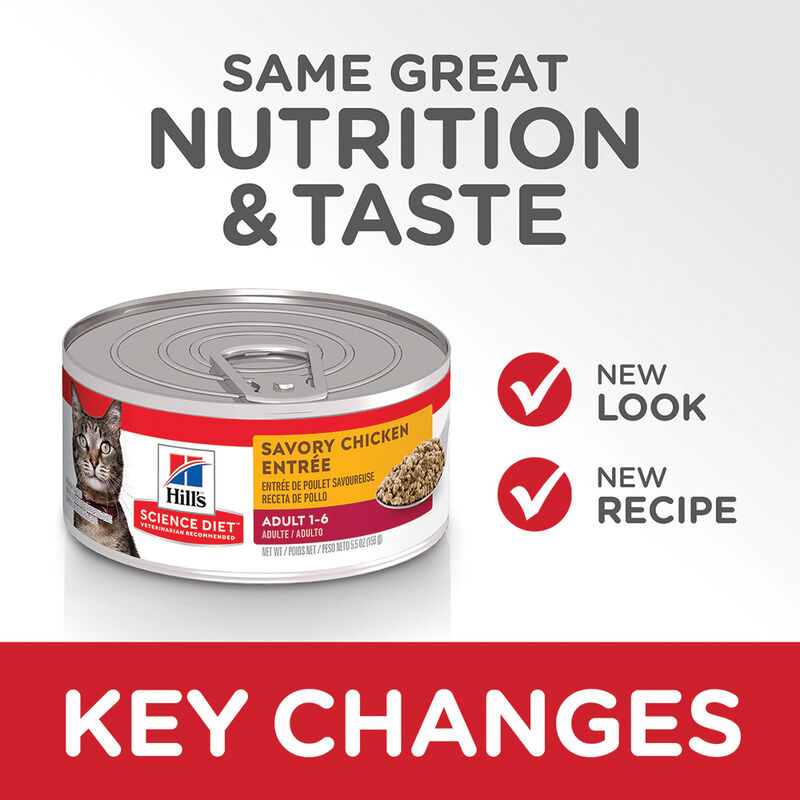 Science Diet, Adult Savory Chicken Canned Cat Food, 156g - Wet Cat Food image number null