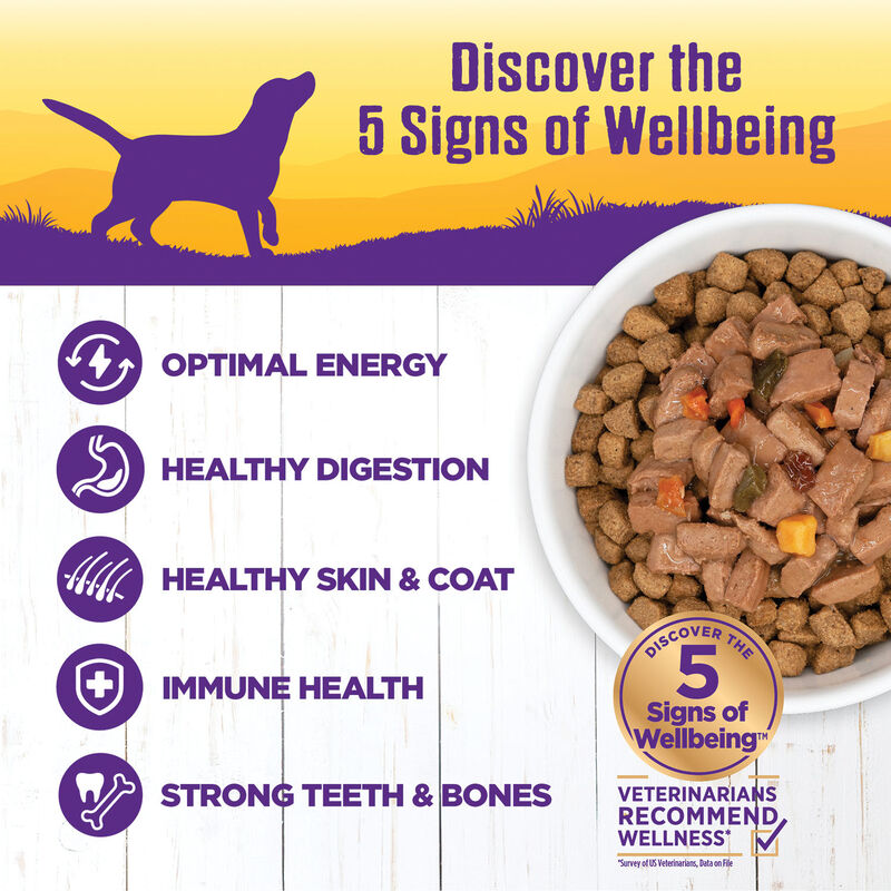 Wellness, Canned Dog Food, Chunks & Gravy, Turkey & Duck Stew with Sweet Potatoes & Cranberries - 12 image number null