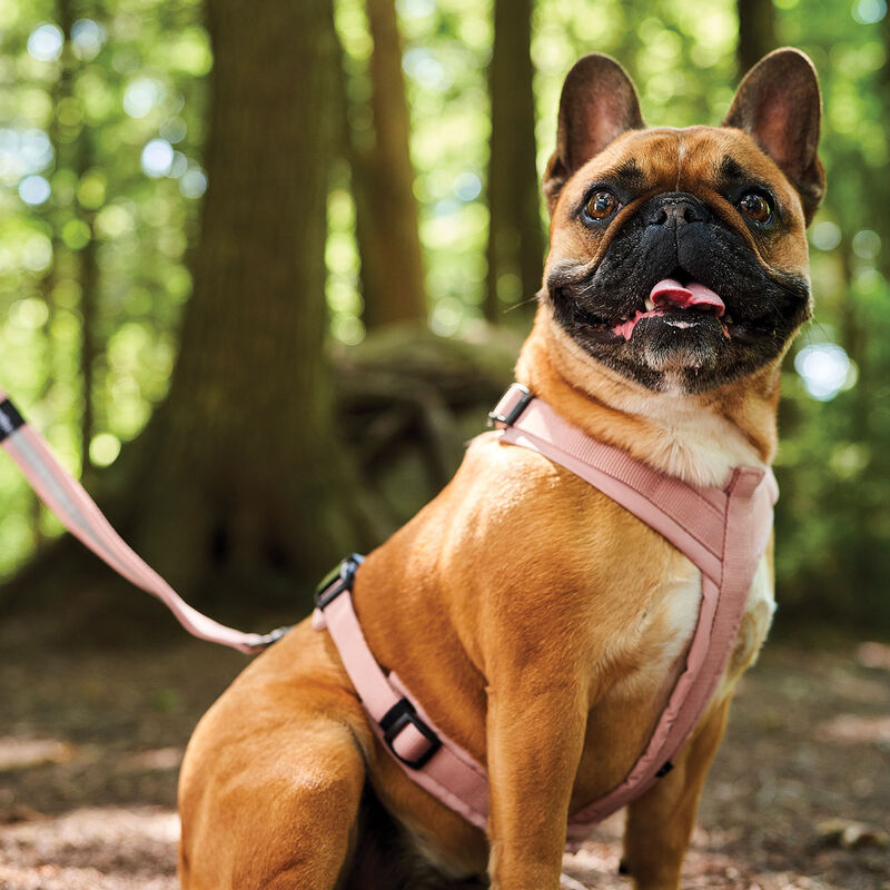 Brigade, Cloud Harness - Light Pink image number null