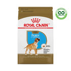 Royal Canin, Breed Health Nutrition Boxer Puppy - Dry Dog Food image number null