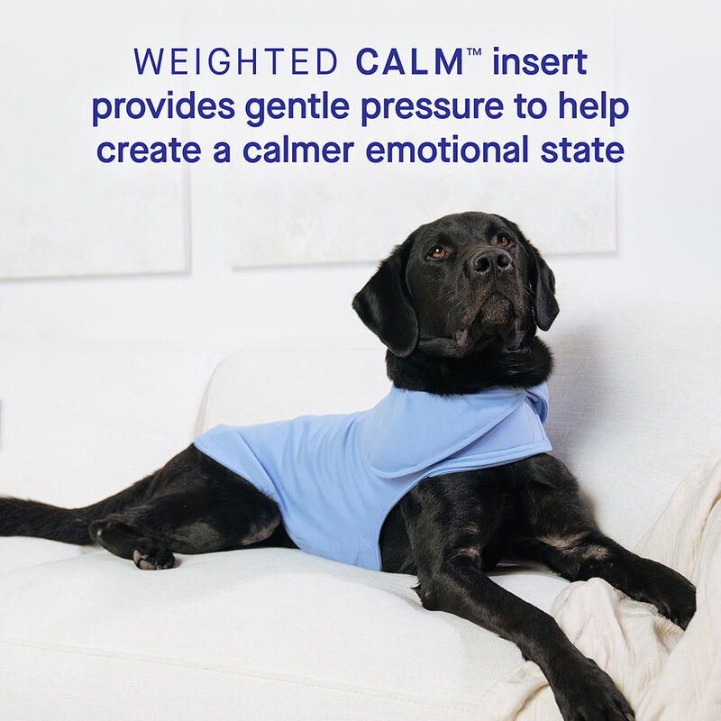 Canada Pooch, Weighted Calming Vest - Dog Anxiety image number null