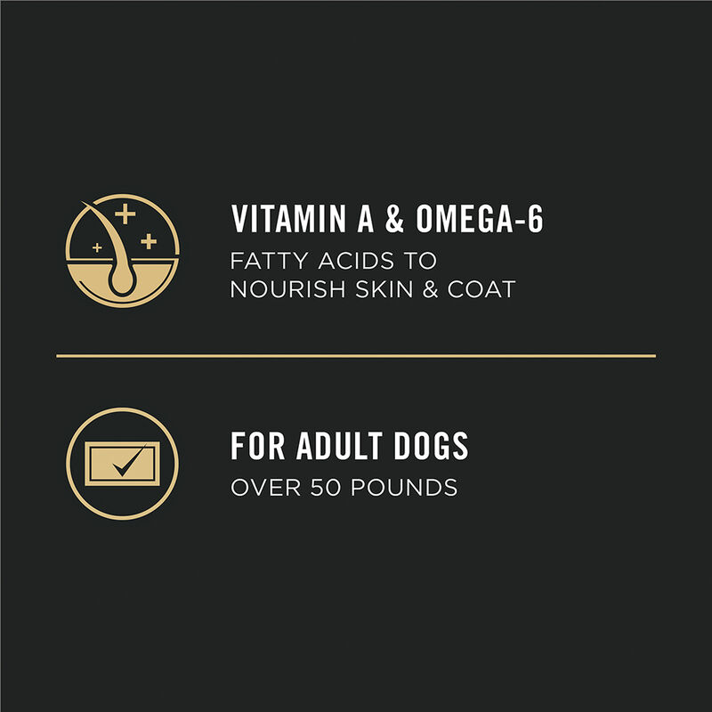 Purina Pro Plan Specialized Large Breed Adult, Chicken & Rice Dry Dog Food 15.4kg image number null