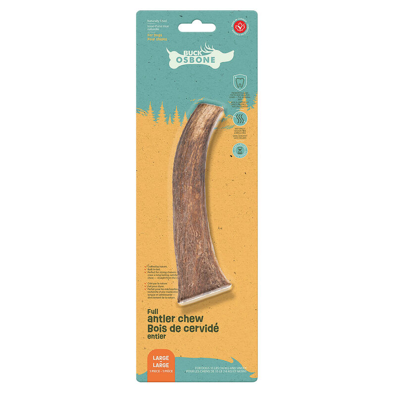 Buck Osbone, Antler - Large image number null