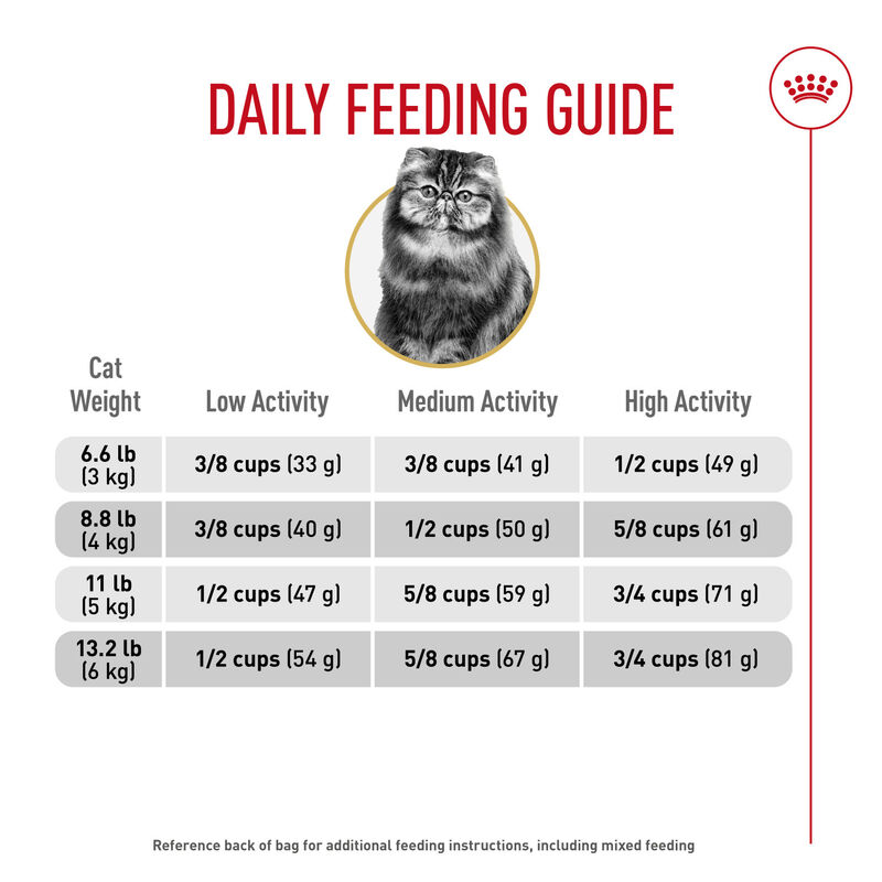 Royal Canin, Feline Breed Nutrition Persian Adult Dry Cat Food - Dry Cat Food image number null