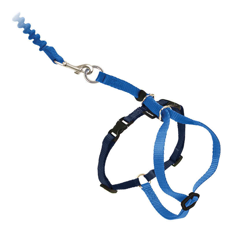 PetSafe, Come With Me Kitty Cat Harness & Bungee Leash - Royal Blue image number null