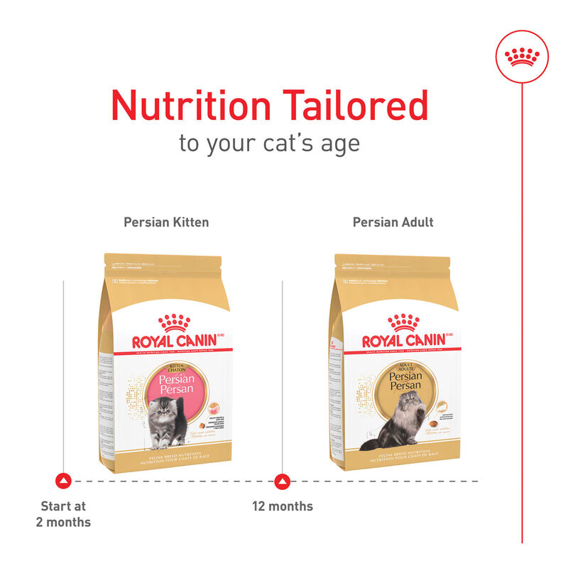 Royal Canin, Feline Breed Nutrition - Persian Kitten Food - 1.36 kg image number null