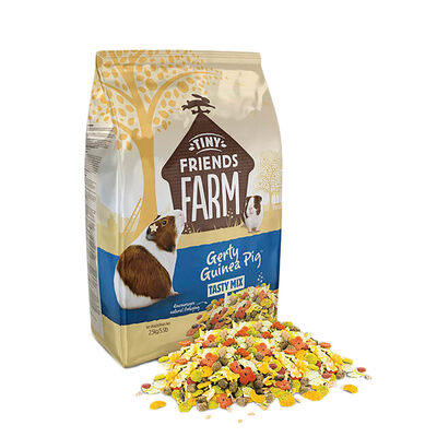 Tiny Friends Farm, Gerty Guinea Tasty Mix - 2.5 kg