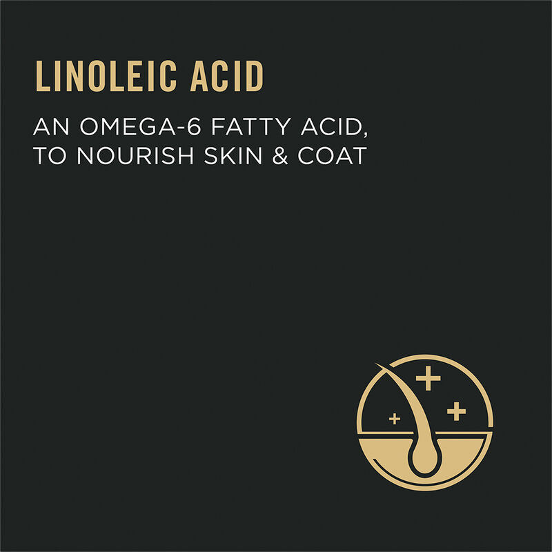 Pro Plan, FelineAdult-SpecializedUrinaryTractHealth-3.18kg - Dry Cat Food image number null