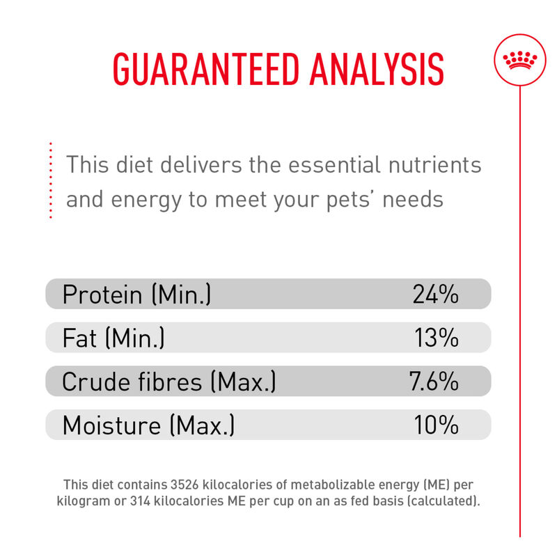 Royal Canin, Size Health Nutrition Large Joint Care - Dry Dog Food image number null
