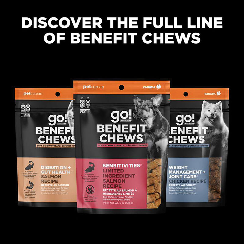 Go! Solutions,Benefit Chews - Skin + Coat Care Lamb Dog Treats - 170 g image number null