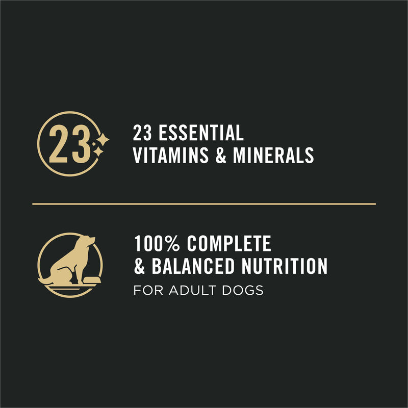 Pro Plan Dog, Can, Specialized Sensitive Skin & Stomach Salmon & Rice 368g image number null