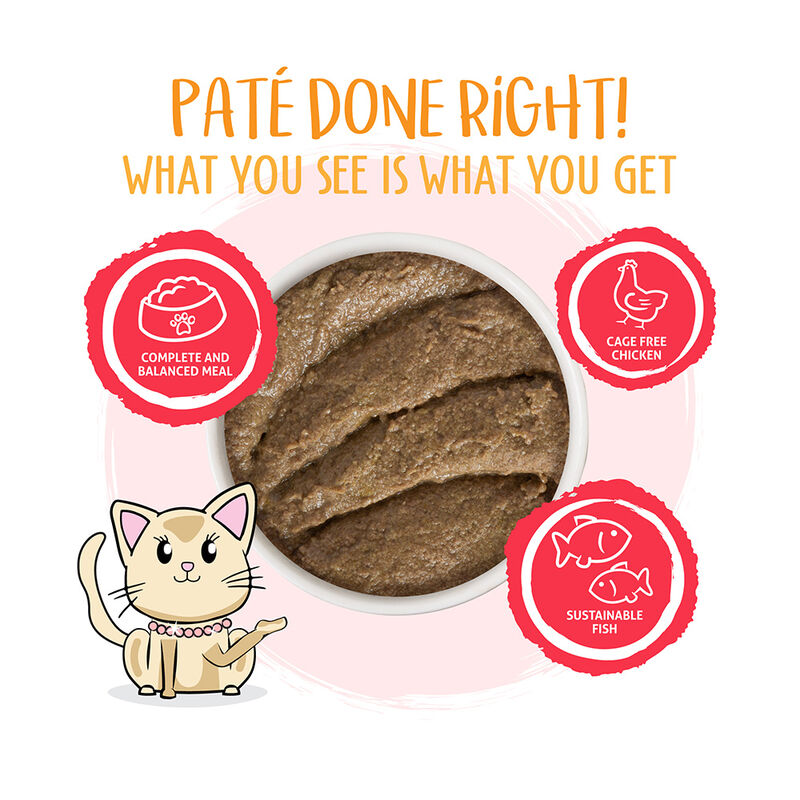 Weruva, Can Feline - Jolly Good Fares - Chicken & Salmon - 156 g - Pate - Wet Cat Food image number null