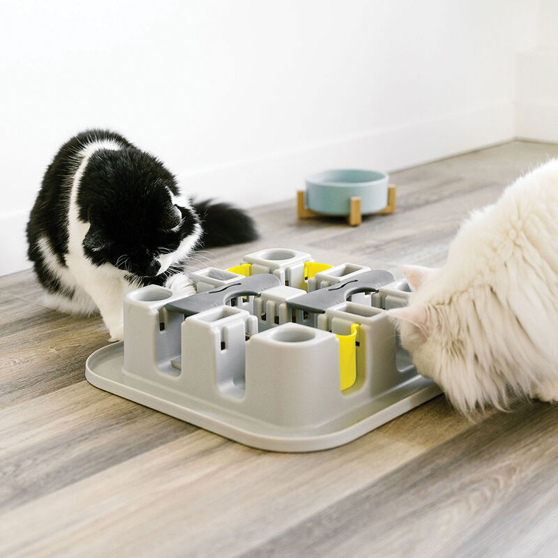 BeOneBreed, Cat Maze Interactive Feeder image number null