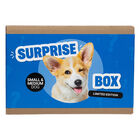 Surprise Box - Dog - Small/Medium image number null
