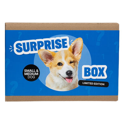 Surprise Box - Dog - Small/Medium