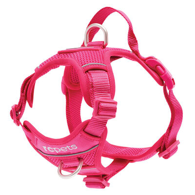 RC Pets, Momentum Harness - Azalea - Small - Dog Harness