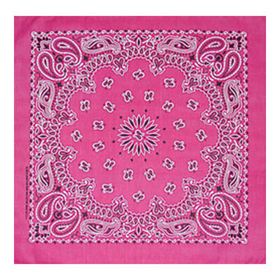 Fashion Bandana, Bandana - Paisley Hot Pink