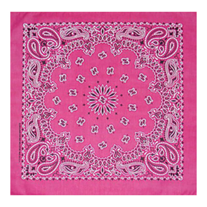 Fashion Bandana, Bandana - Paisley Hot Pink image number null