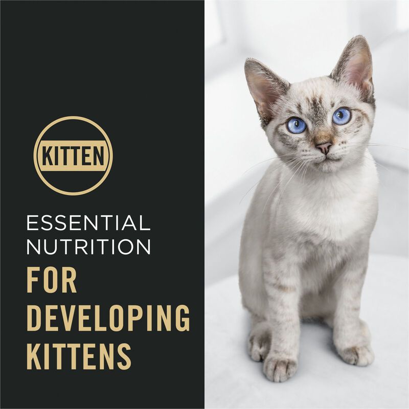 Pro Plan, Complete Essentials Chicken and Rice Formula - Dry Kitten Food image number null