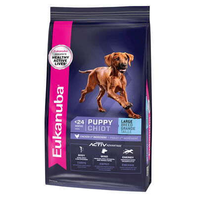 Eukanuba, Large Breed Puppy - 13.6 kg - Dry Dog Food