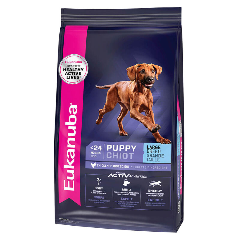 Eukanuba, Large Breed Puppy - 13.6 kg - Dry Dog Food image number null