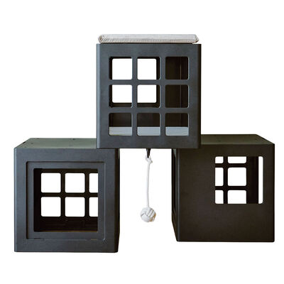 BeOneBreed, KATT KUBE Multi