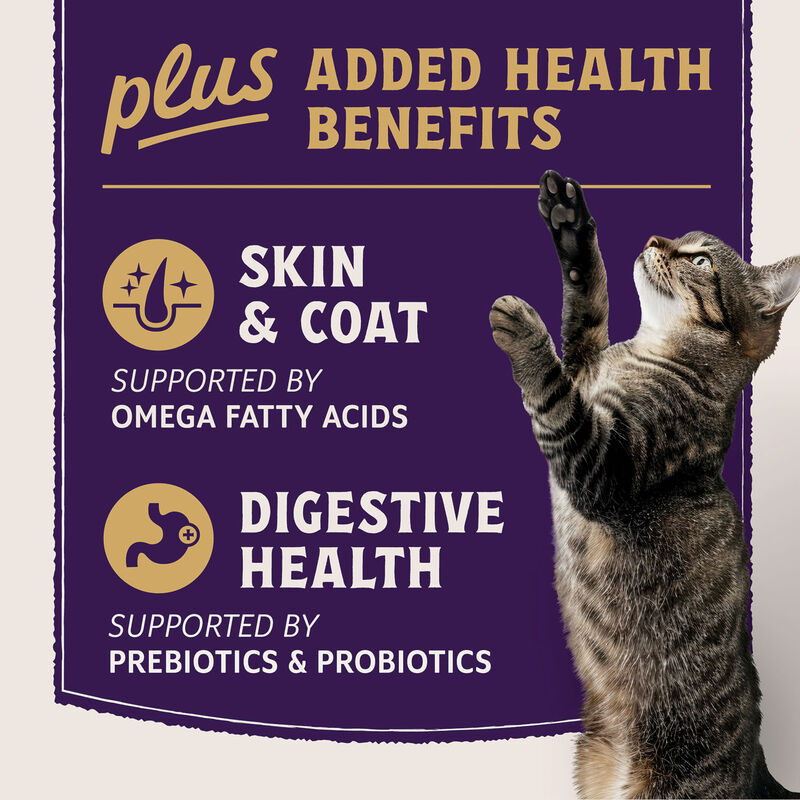 Natural Balance, Ultra Protein Plus - Skin & Coat & Digestive Health - Salmon & Chicken Meal Recipe image number null
