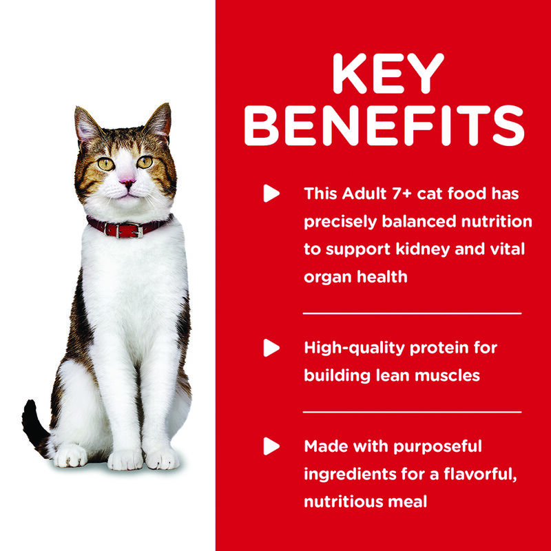 Science Diet, Adult 7+ Savory Turkey Canned Cat Food, 156 g - Wet Cat Food image number null