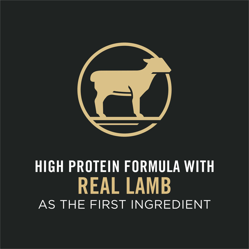 Purina Pro Plan Specialized Sensitive Skin & Stomach Adult, Lamb & Rice Dry Cat Food Formula 3.18kg image number null