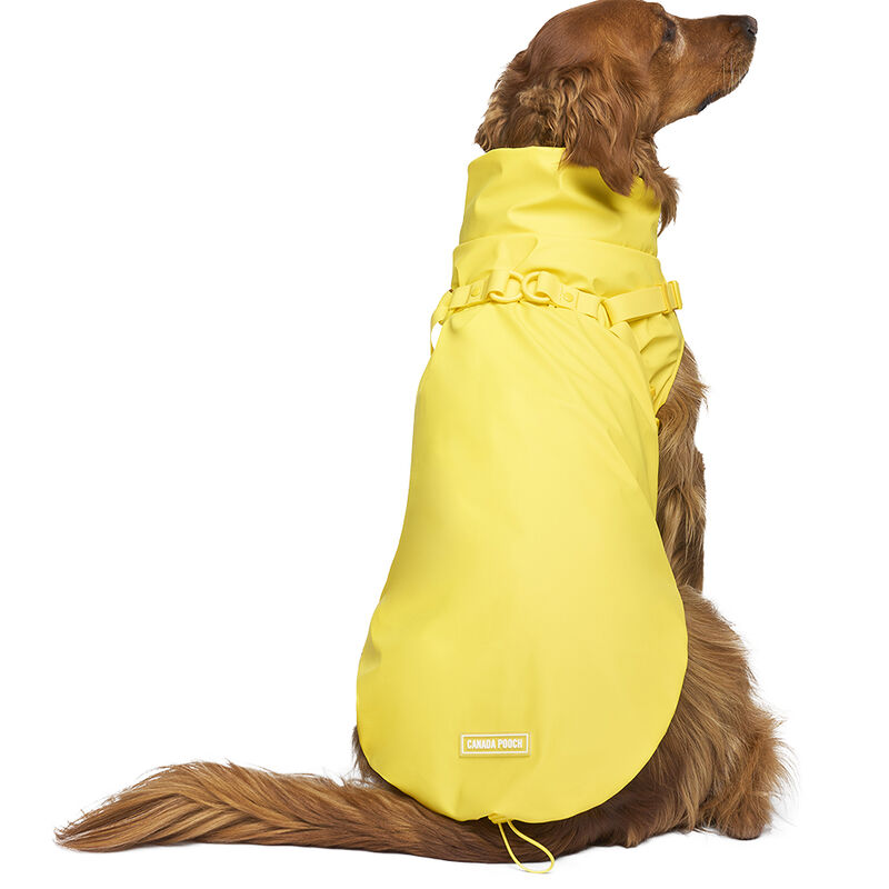 Canada Pooch, Harness Raincoat - Yellow image number null