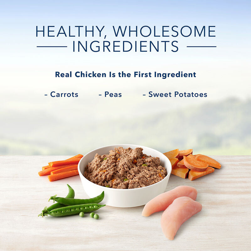 Can, Puppy Homestyle Recipe - Chicken - 354 g image number null