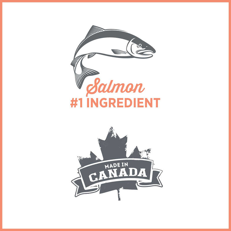 Nutrience, Care - Sensitive Skin & Stomach - Duck, Salmon & Pumpkin - 369 g - Wet Dog Food image number null