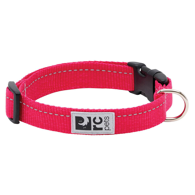 RC Pets, Primary Clip Collar - Azalea - 1/2" Width-XX-Small - Dog Collar image number null