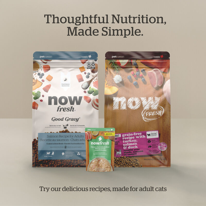 Good Gravy - Salmon Coated in Bone Broth - Dry Cat Food image number null