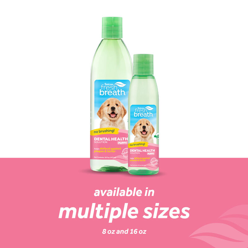 Tropiclean, Puppy, Dental Fresh Breath - Plaque & Tartar - 16 oz image number null